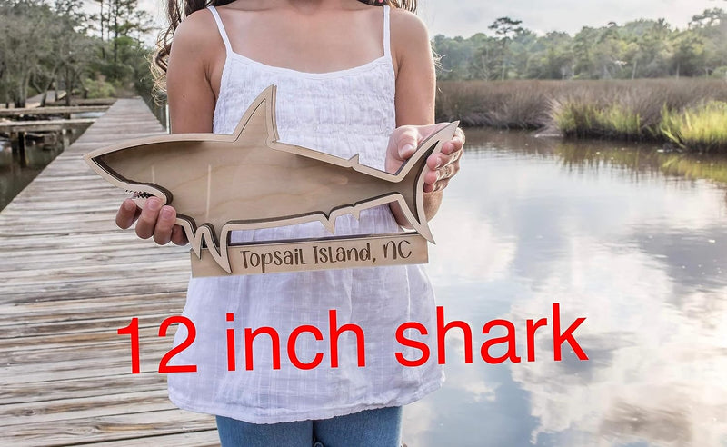 Shark Tooth collection Shark Teeth Shadow Box Beach Home decor sharks beach vacation