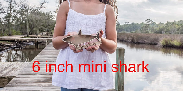 Shark Tooth collection Shark Teeth Shadow Box Beach Home decor sharks beach vacation