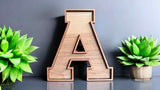 Custom 2 - Layer Wooden Letter – Personalized Wall Art or Shelf Display | Multiple Sizes & Wood Combos - Moonshineandglitter