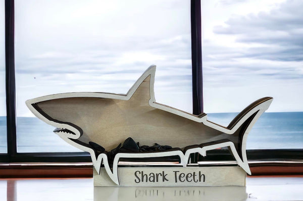 Shark teeth shadow box beach vacation tooth treasures home decor beach house gift  collection beach sea glass sea shells sharks Display
