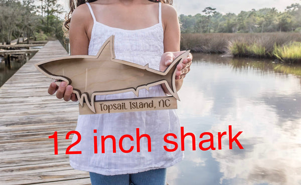 Shark teeth shadow box beach vacation tooth treasures home decor beach house gift  collection beach sea glass sea shells sharks Display