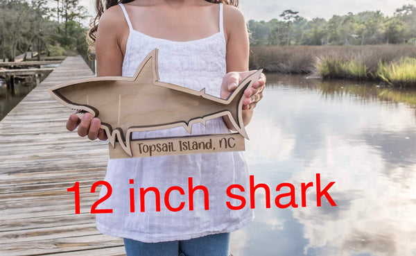 Shark Tooth Shadow Box – Shark Teeth Collection, Beach Treasures Display, Unique Coastal Home Decor, Perfect for Beach Lovers