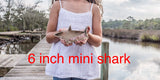Shark Tooth Shadow Box – Shark Teeth Collection, Beach Treasures Display, Unique Coastal Home Decor, Perfect for Beach Lovers