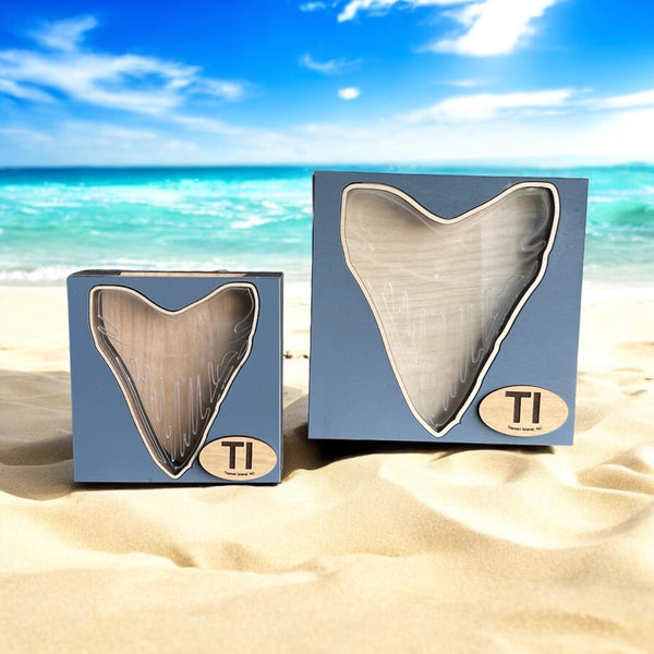 STAND ALONE Shark teeth shadow box Megalodon Shark Tooth Shadow Box - Authentic Fossil Display