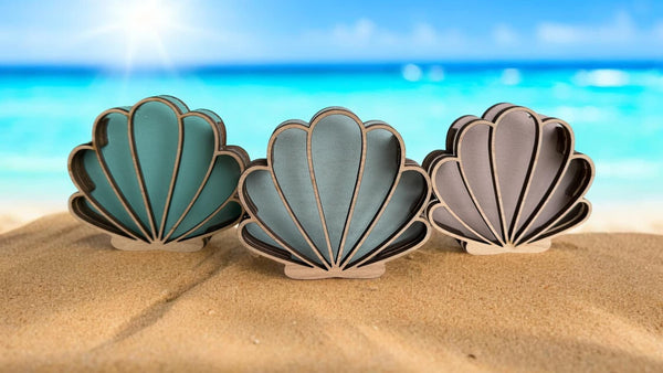 Seashell shadow box for your seashells, sea glass, beach glass, shark teeth, and seashell holder. Shell keeper Perfect for Beach Treasures