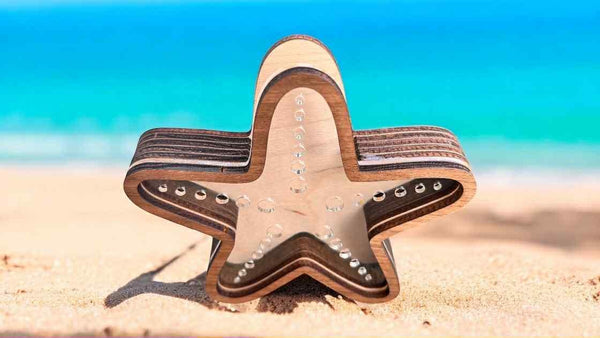 Handcrafted Starfish Treasure Box – Walnut Frame – Display for Sea Glass, Shark Teeth, Shells – 4", 6", 8", 12" Sizes Shadow Box