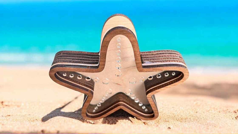 Handcrafted Starfish Treasure Box – Walnut Frame – Display for Sea Glass, Shark Teeth, Shells – 4", 6", 8", 12" Sizes Shadow Box