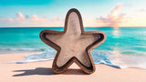 Handcrafted Starfish Treasure Box – Walnut Frame – Display for Sea Glass, Shark Teeth, Shells – 4", 6", 8", 12" Sizes Shadow Box