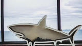 Shark teeth shadow box beach vacation tooth treasures home decor beach house gift  collection beach sea glass sea shells sharks Display