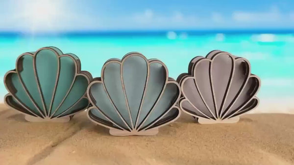 Seashell shadow box for your seashells, sea glass, beach glass, shark teeth, and seashell holder. Shell keeper Perfect for Beach Treasures