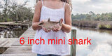 Shark Tooth Shadow Box – Shark Teeth Collection, Beach Treasures Display, Unique Coastal Home Decor, Perfect for Beach Lovers - Moonshineandglitter